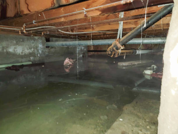 Best Residential water damage restoration  in Moonachie, NJ