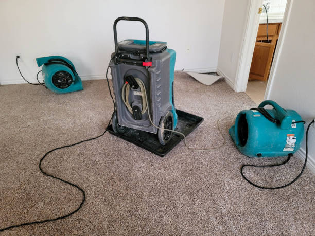 Best Sewage cleanup and water damage restoration  in Moonachie, NJ