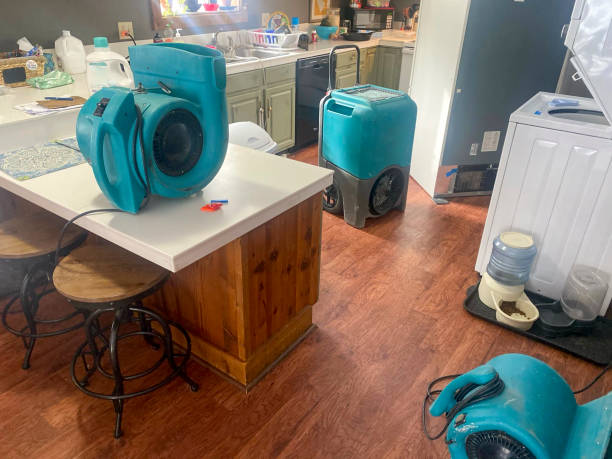 Trusted Moonachie, NJ Water damage restoration Experts