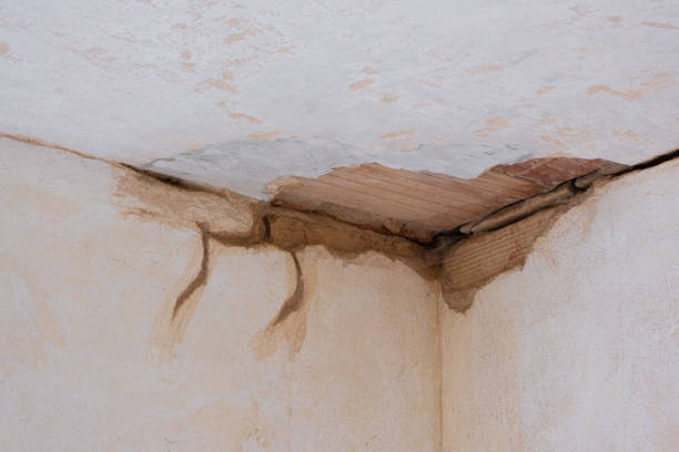 Best 24/7 water damage repair  in Moonachie, NJ