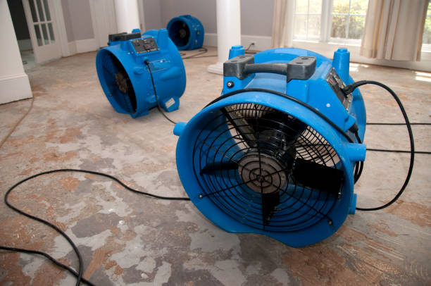 Best Local water damage restoration  in Moonachie, NJ