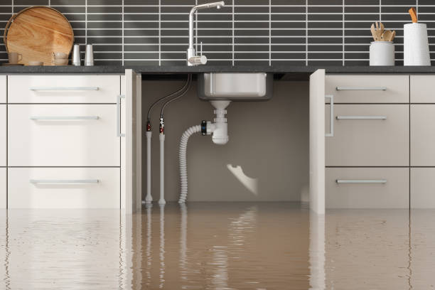 Best Professional water damage repair  in Moonachie, NJ