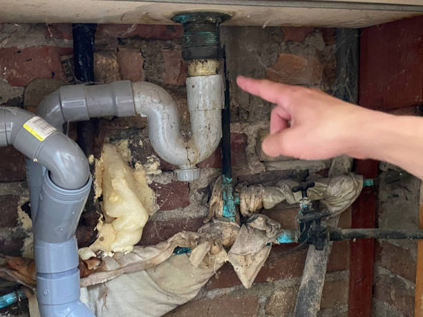 Best Flood damage cleanup  in Moonachie, NJ